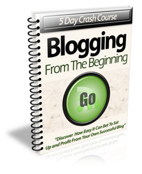 Product picture Blogging From Beginning PLR